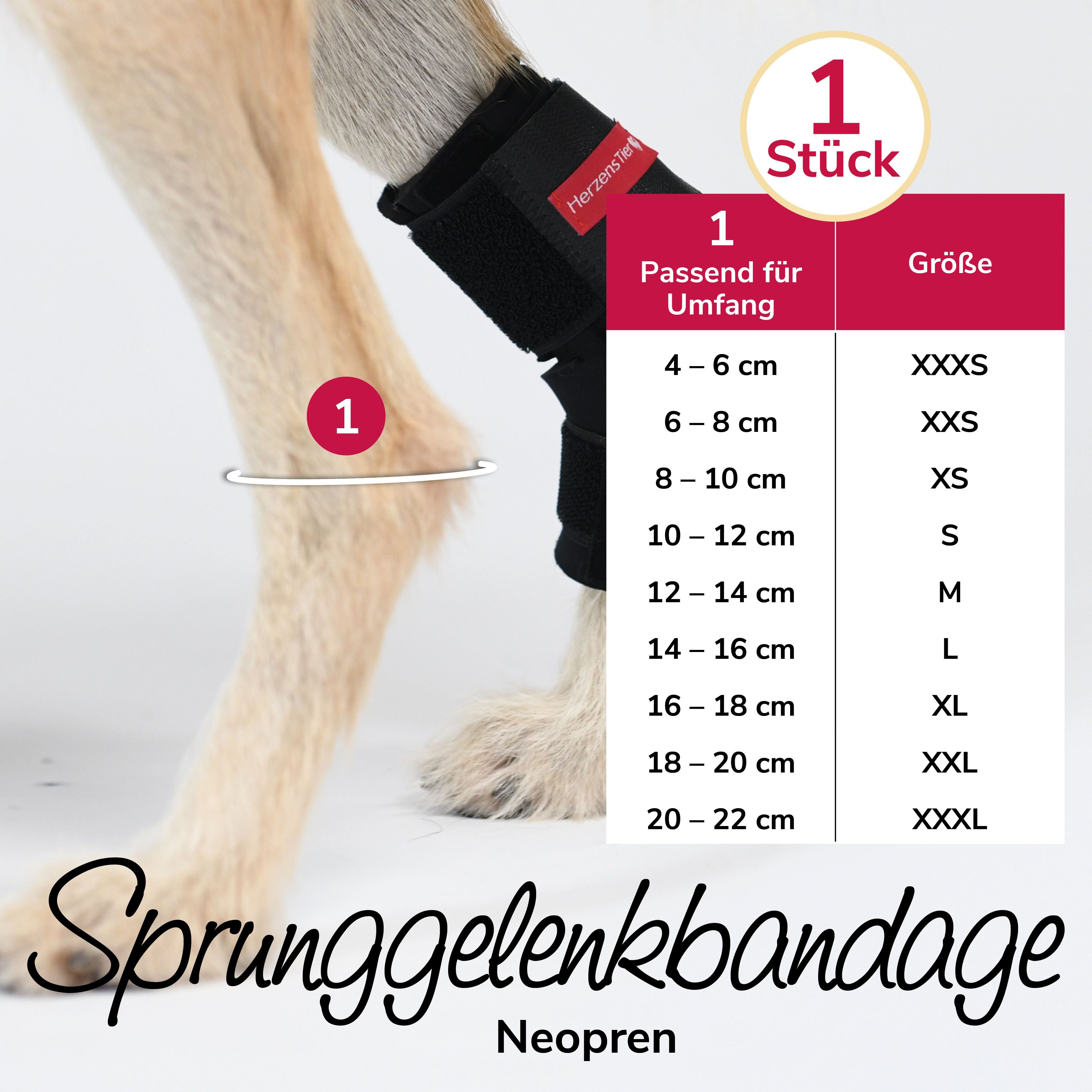 Schwarze Sprunggelenkbandage aus Neopren am Hundebein. Größenangaben in Tabelle: Umfang 4-22 cm, Größen XXXS-XXXL. HerzensTier.