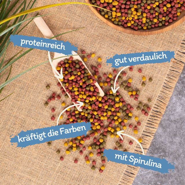 Nahaufnahme von Fischfutter auf einem Holzbrett und Löffel. Beschriftungen: proteinreich, gut verdaulich, kräftigt die Farben, mit Spirulina.