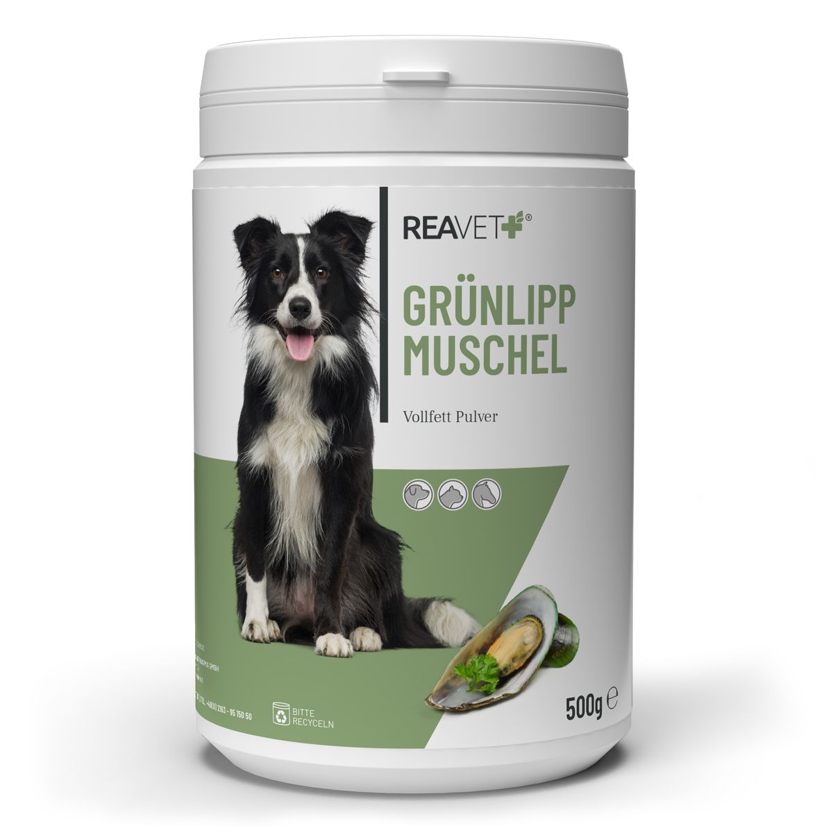 Weiße Dose mit grünem Etikett. Aufdruck: REAVET, Grünlippmuschel Pulver, Hund. Abbildung einer Muschel und eines Hundes.