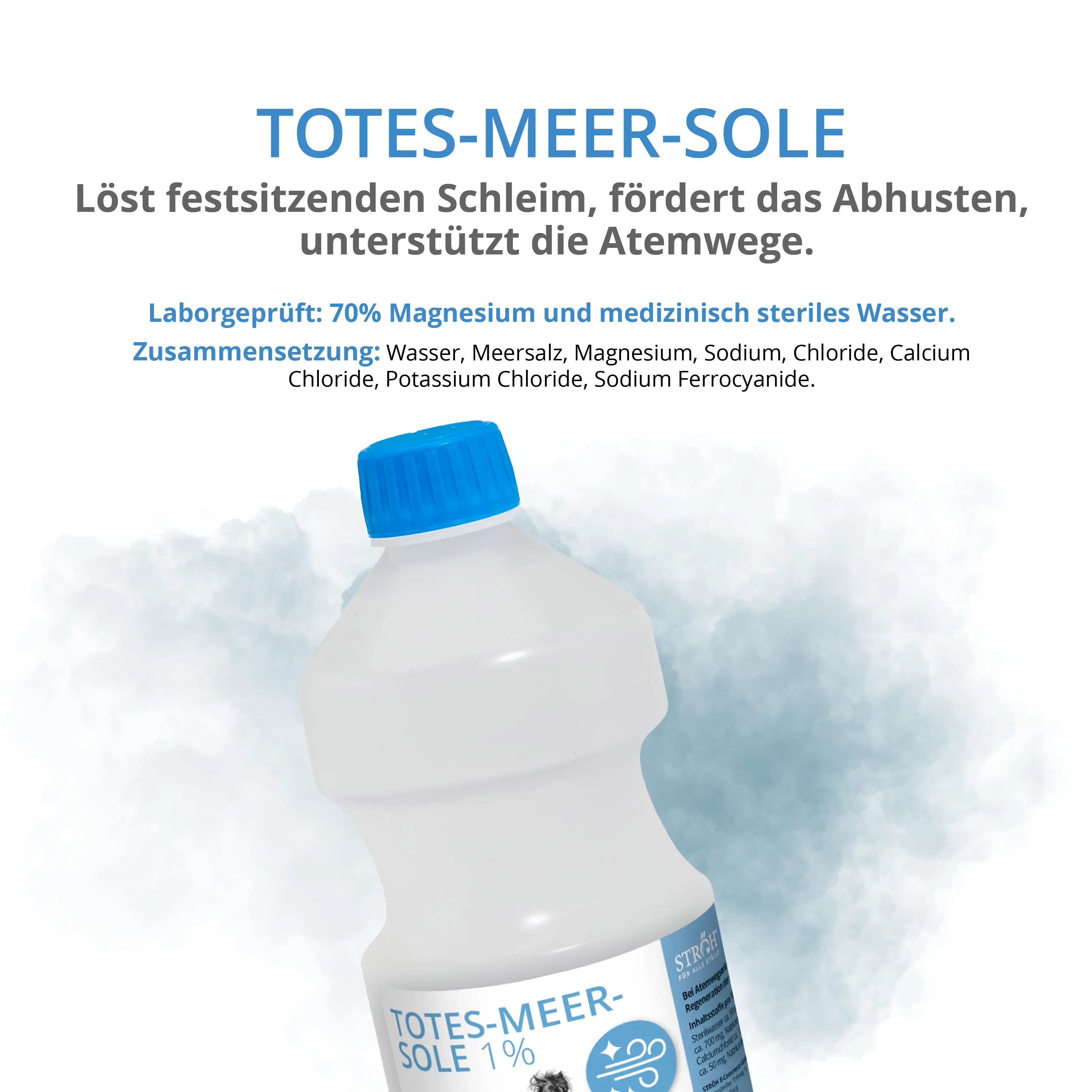 Flasche mit blauem Deckel und Etikett. Enthält Totes-Meer-Sole 1%. Text: Löst Schleim, unterstützt Atemwege. Aufschrift: STRÖH.