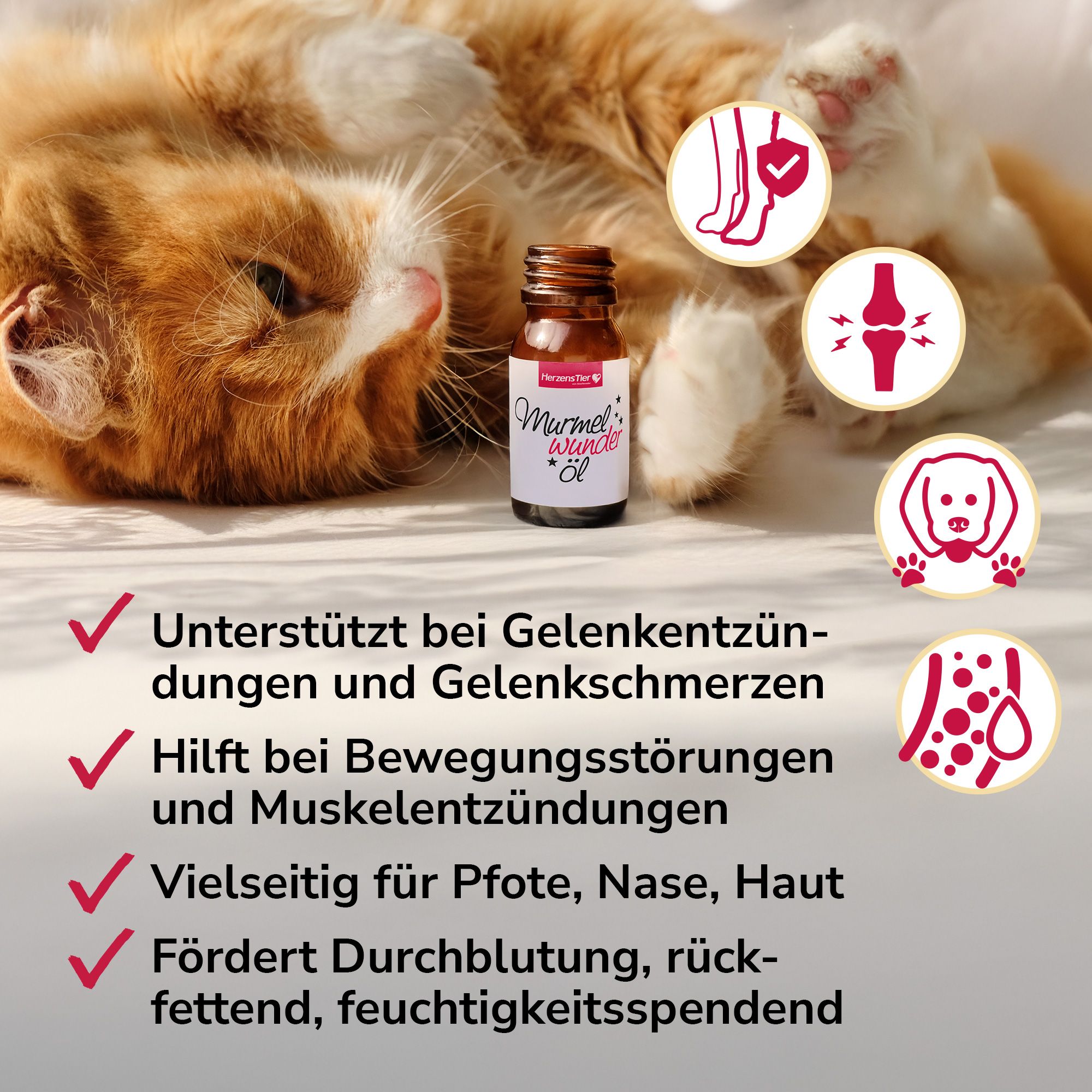 HerzensTier Murmelwunderöl für Hunde, Katzen & Pferde
