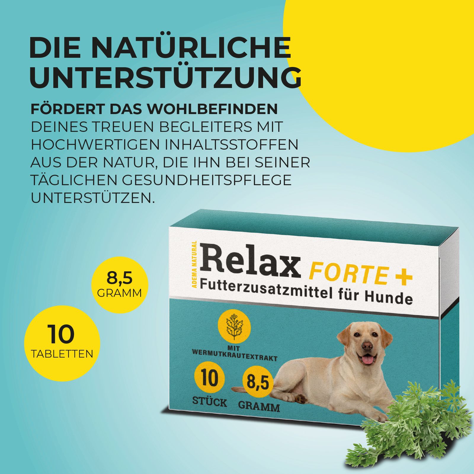 Werbung für "Relax Forte +" mit Packung und 10 Tabletten, 8,5 Gramm. Text: "Die natürliche Unterstützung".
