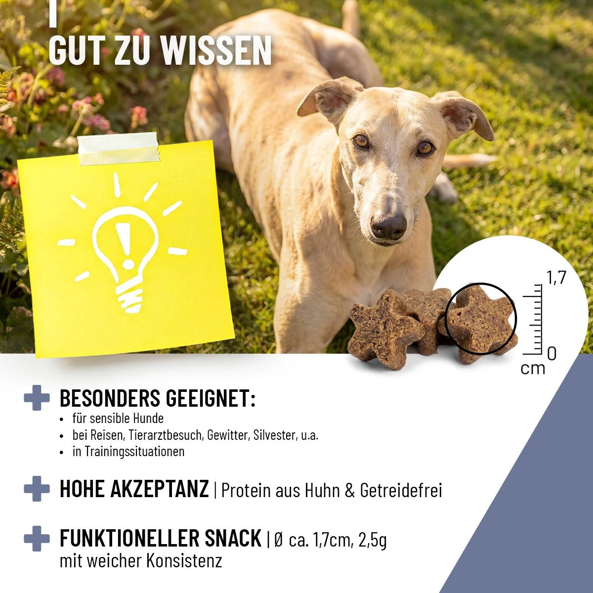 Hund mit Leckerlis. Text: Gut zu wissen. Besonders geeignet: sensible Hunde, Reisen, Gewitter, Silvester, etc. Funktioneller Snack Ø ca. 1,7cm, 2,5g.
