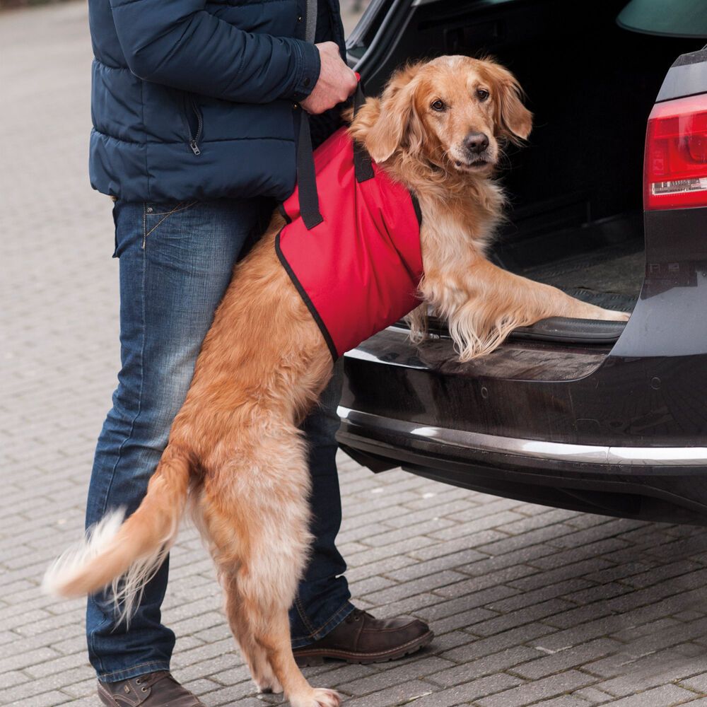 Hunde Tragehilfe "Helping Harness" - Unterstützung beim Treppensteigen - Wanderungen