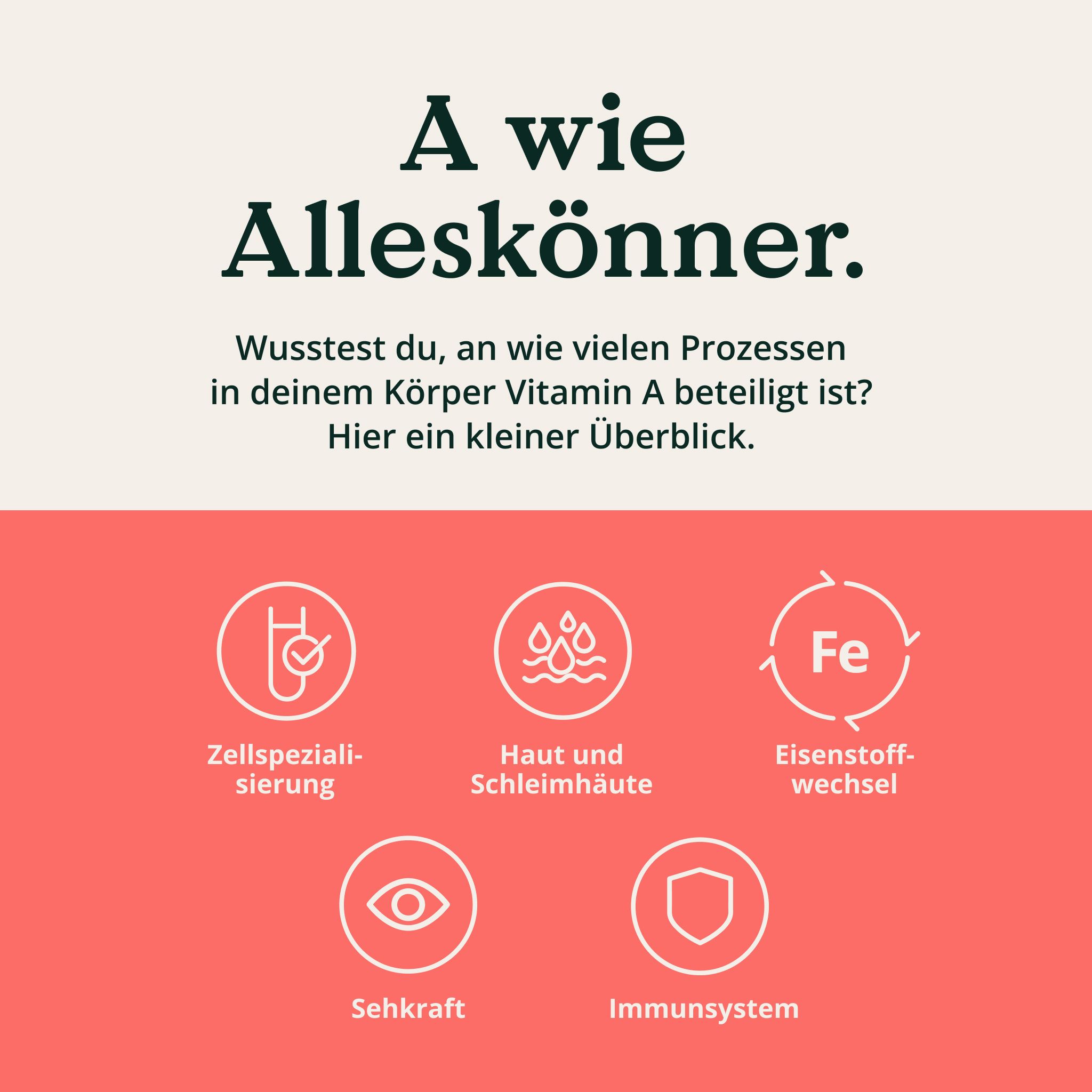 Infografik mit Symbolen: Zellspezialisierung, Haut, Schleimhäute, Eisenstoffwechsel, Sehkraft, Immunsystem.