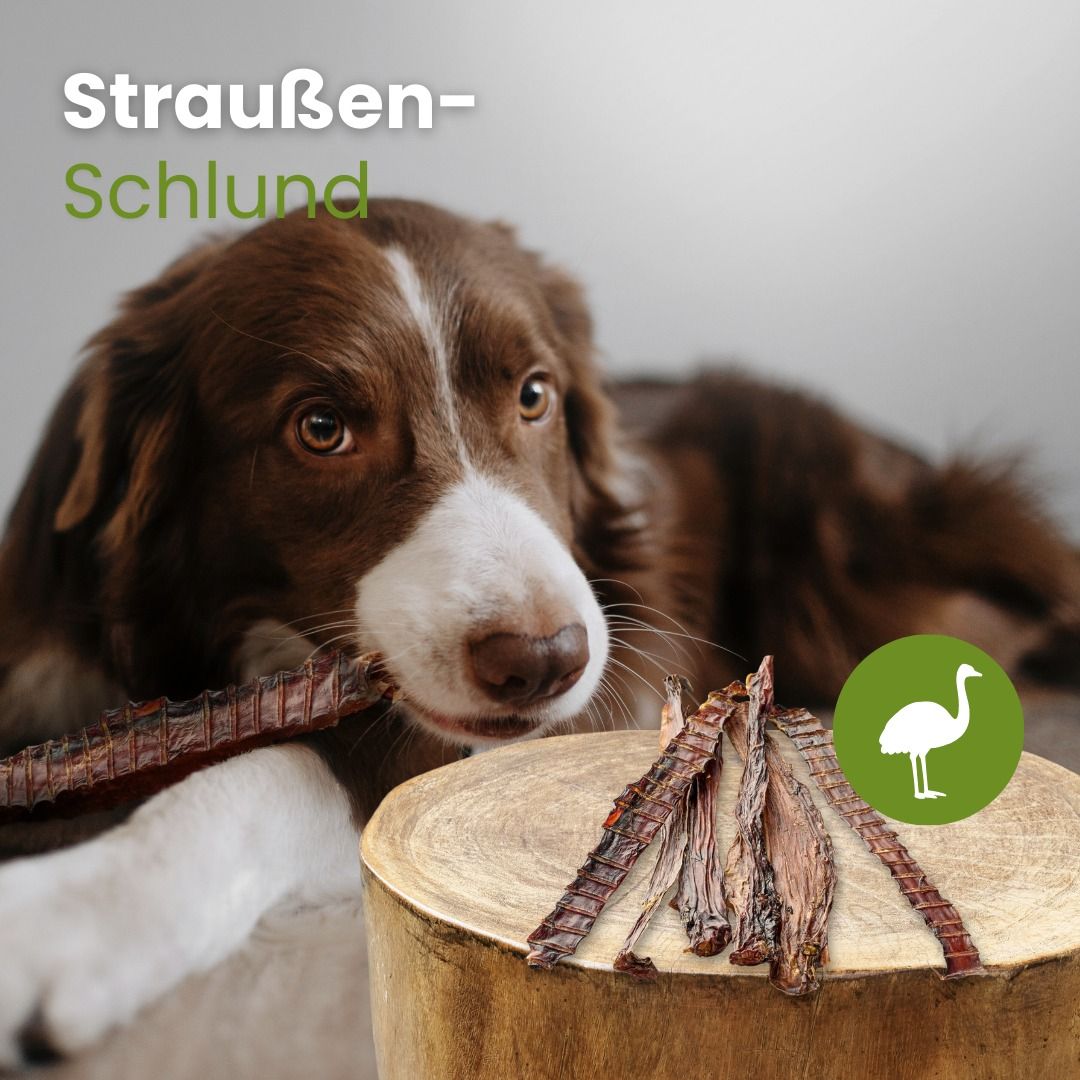 Getrocknete Straußen-Schlundstücke für Hunde, auf einem Holzstamm arrangiert.