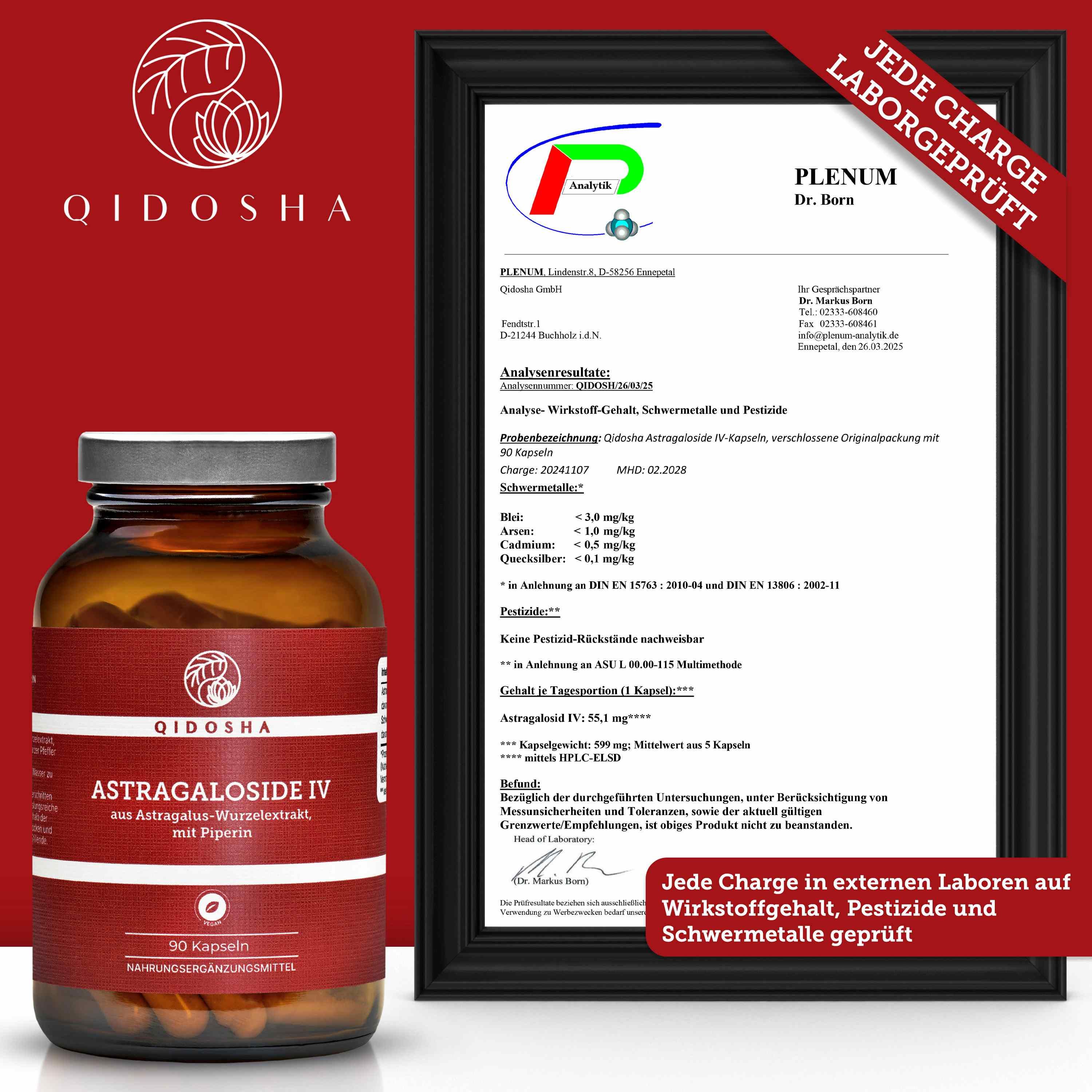 QIDOSHA Astragalosid IV aus Astragalus-Wurzelextrakt plus Piperin