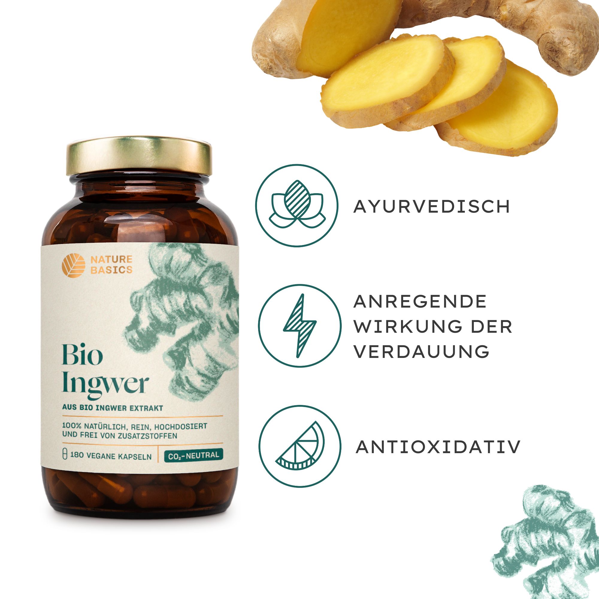 NATURE BASICS® - Hochwertiges Bio Ingwer Extrakt Vegan