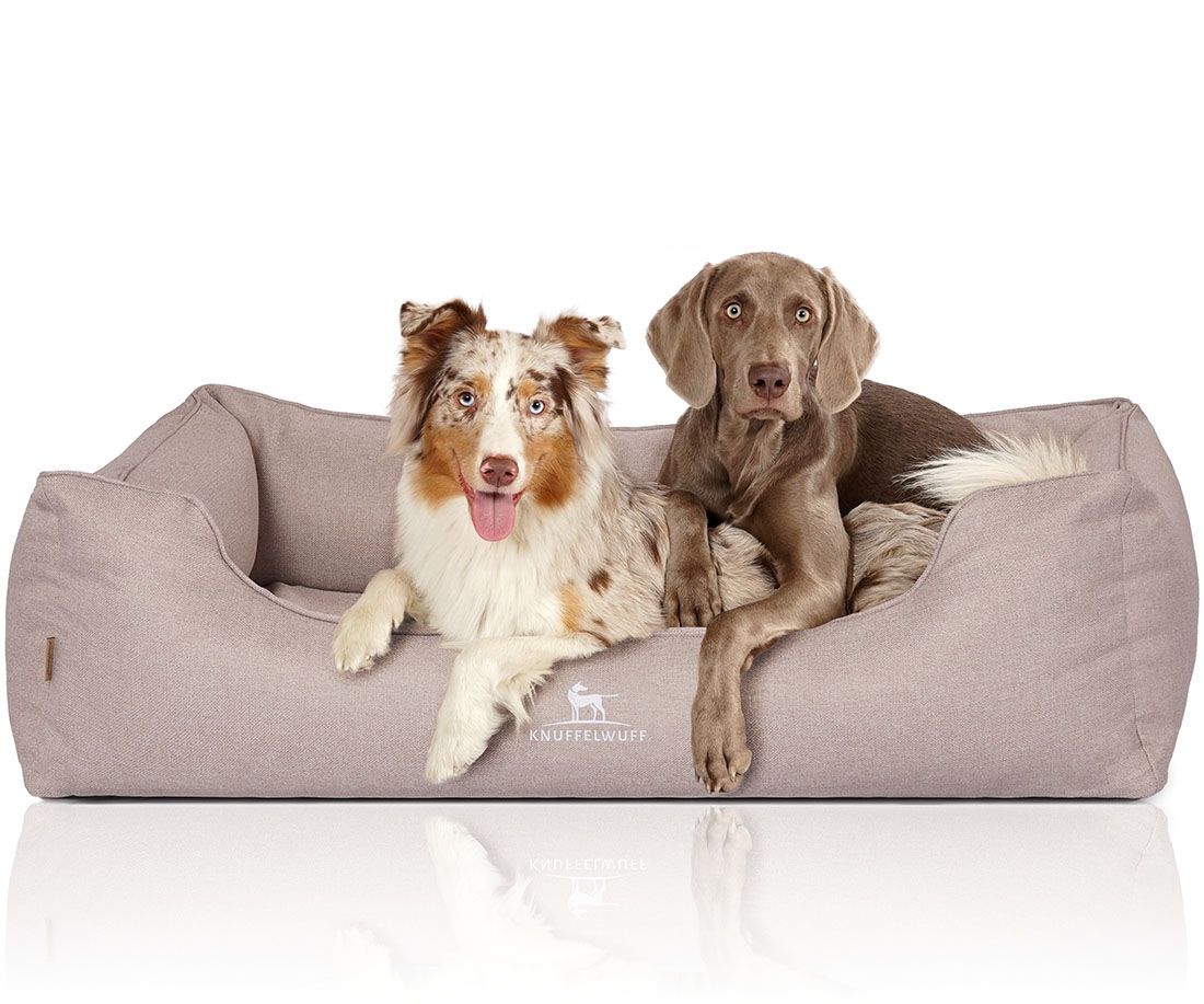 Beiges orthopädisches Hundebett Luisa. Zwei Hunde liegen im Bett. Knuffelwuff Logo. Braunes Lederetikett an der Seite.