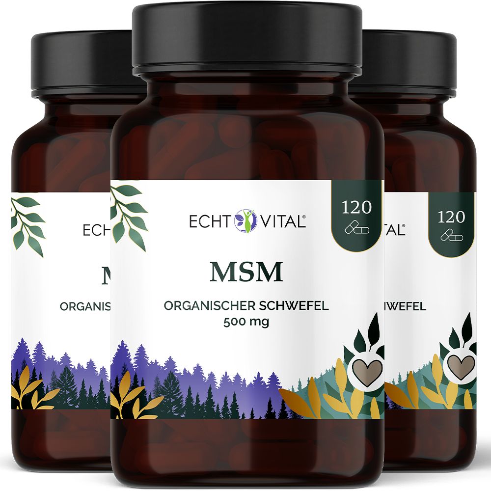 Drei Flaschen Echt Vital MSM Organischer Schwefel 500 mg, 120 Kapseln.