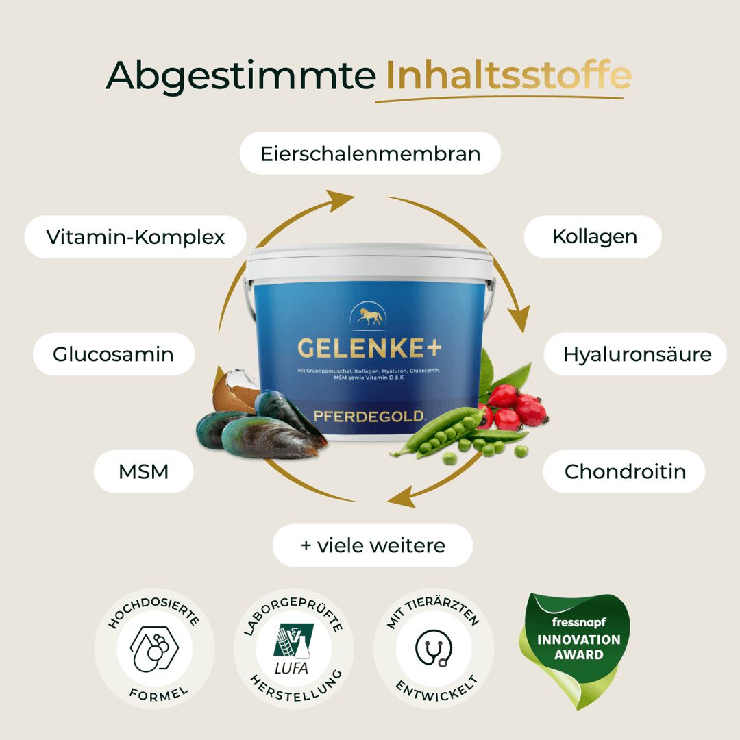 Pferdegold Gelenke+
