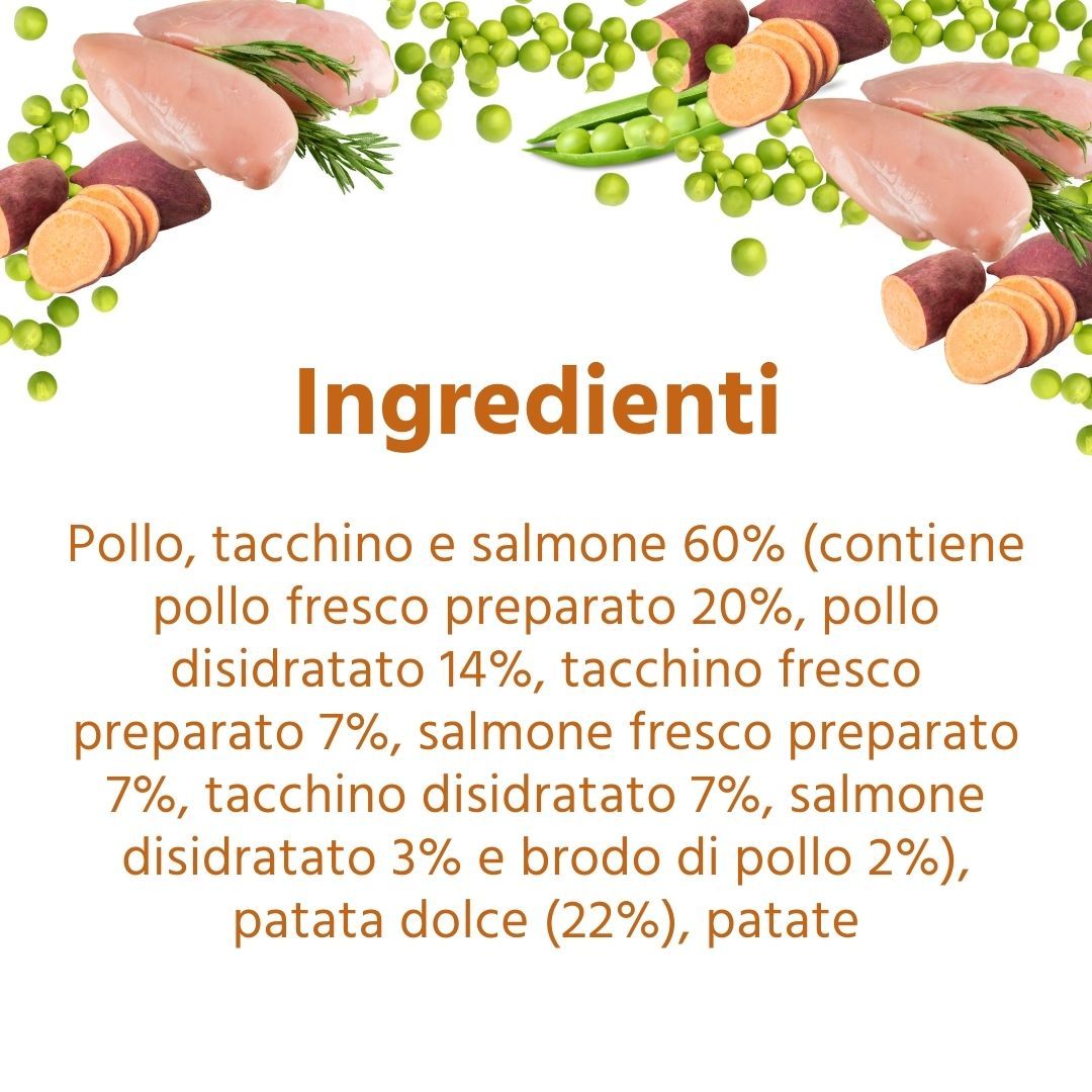 Text mit Zutaten: Pollo, tacchino e salmone 60%, patata dolce (22%), patate. Zutaten: Huhn, Truthahn und Lachs, Süßkartoffeln, Kartoffeln.