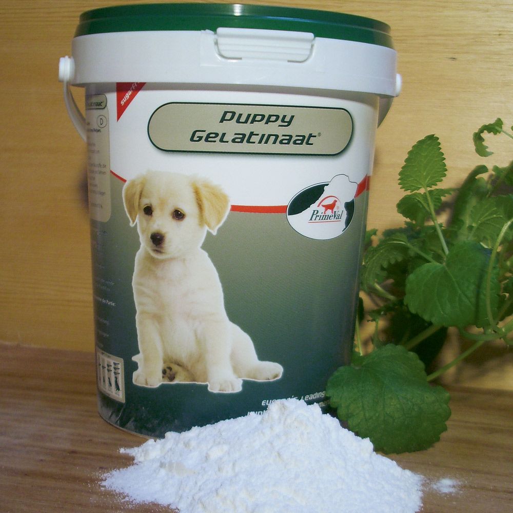 PrimeVal® Gelatinaat Puppy für Welpen - Hundefutter - gegen HD bei dem Hund