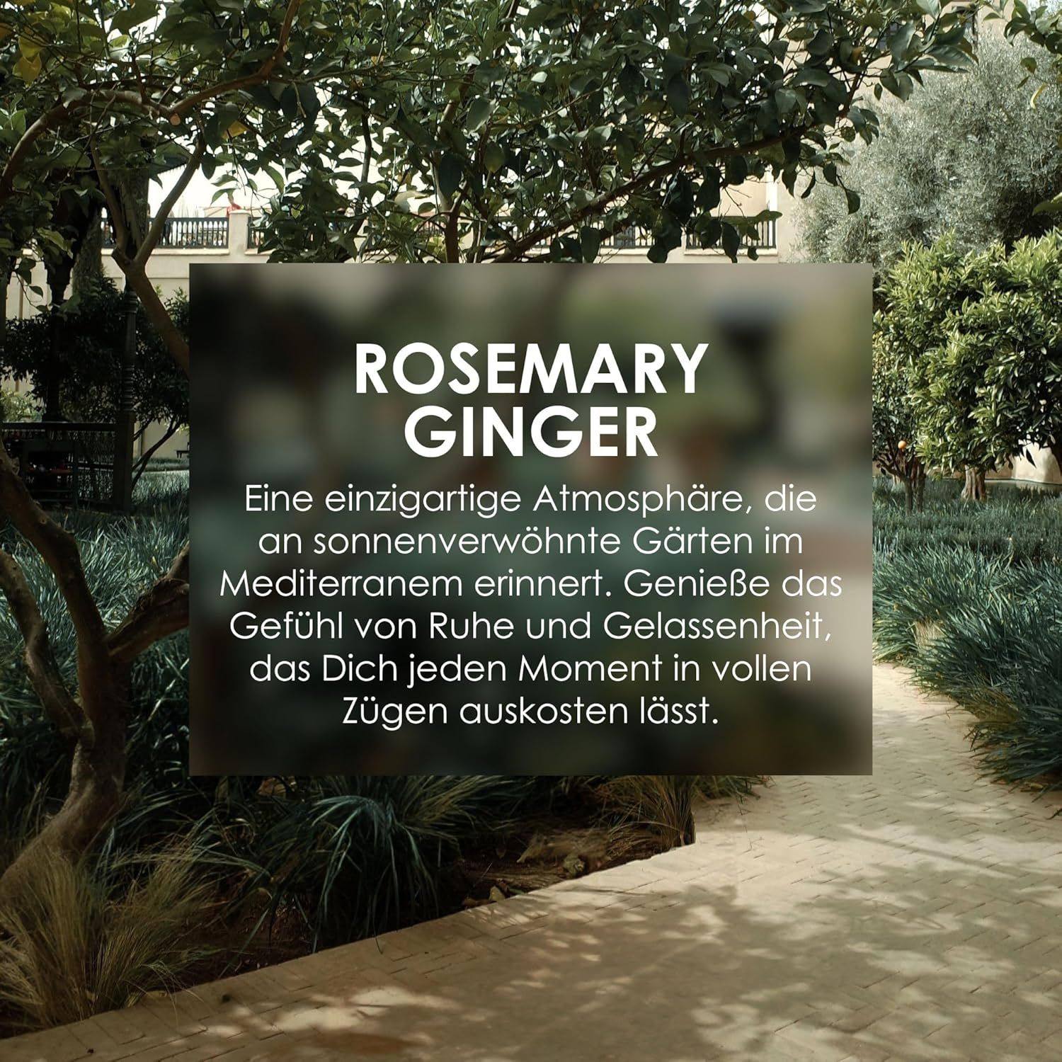 Landschaft mit Text: Rosemary Ginger. Eine Atmosphäre, die an sonnenverwöhnte Gärten im Mittelmeerraum erinnert.