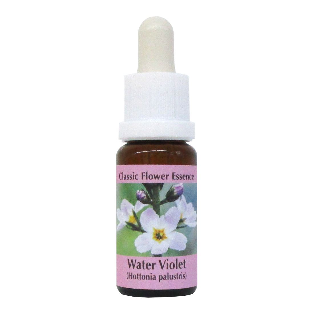 PHI Essences - Water Violet Bachblüte Nr. 34