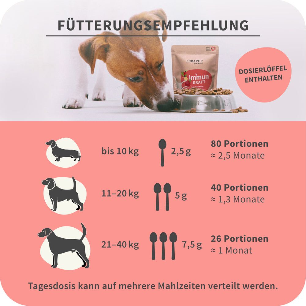 Fütterungsempfehlung. Hund neben Napf und Beutel "Immun Kraft"-Pulver. Dosierlöffel enthalten. Angaben zu Portionen nach Gewicht.