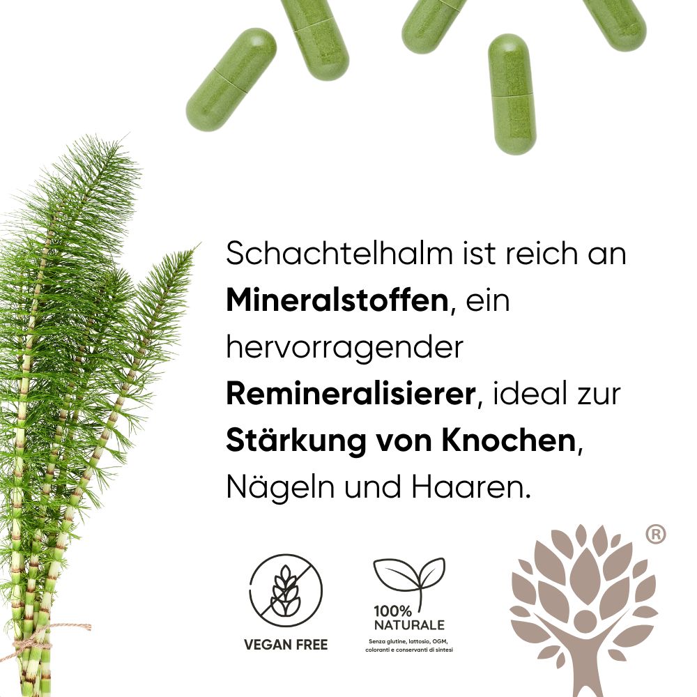 Flasche mit Kapseln, umgeben von einzelnen Kapseln. Text: Hilft Haarausfall zu reduzieren, fördert Haarwachstum.