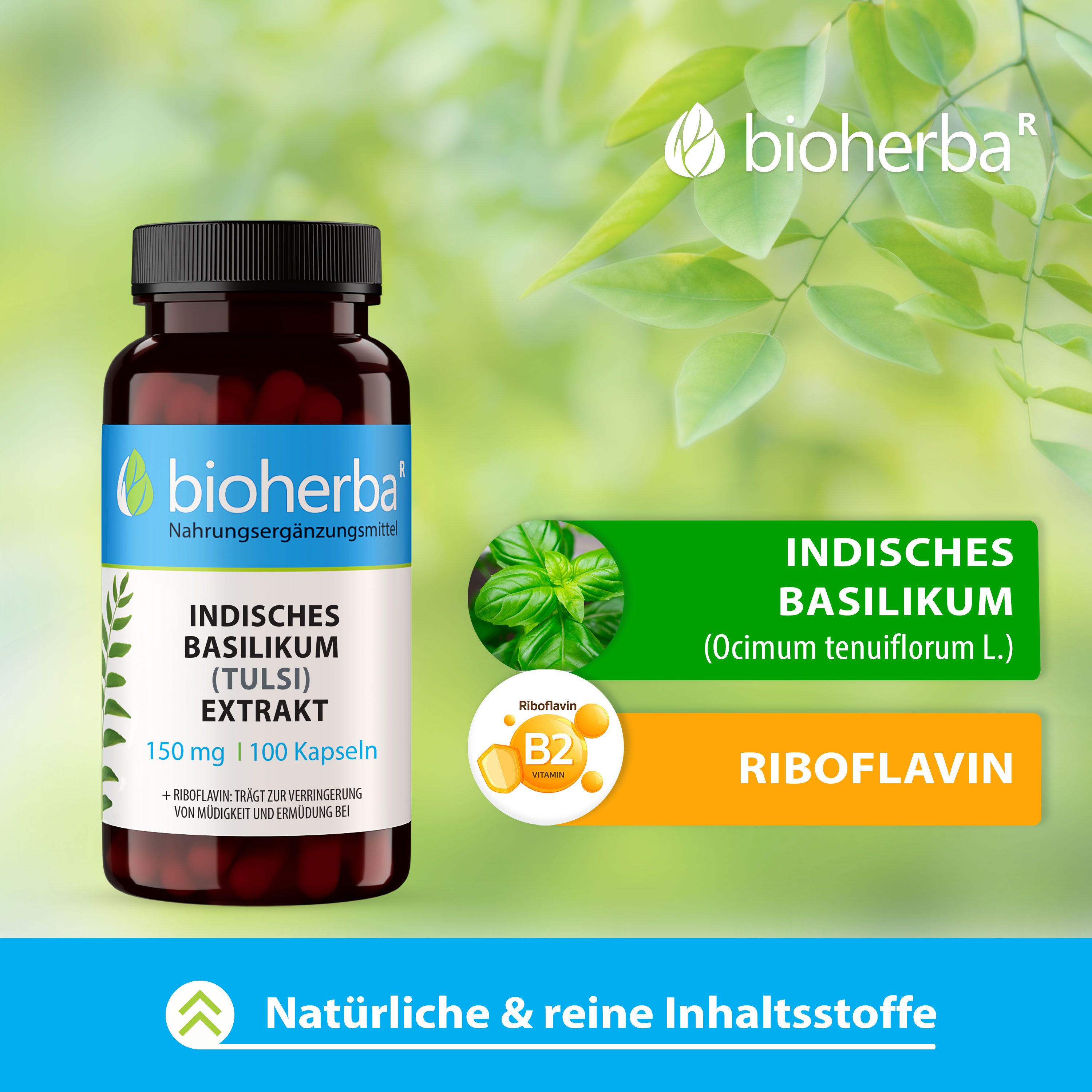 Bioherba Indisches Basilikum (Tulsi) Extrakt Kapseln