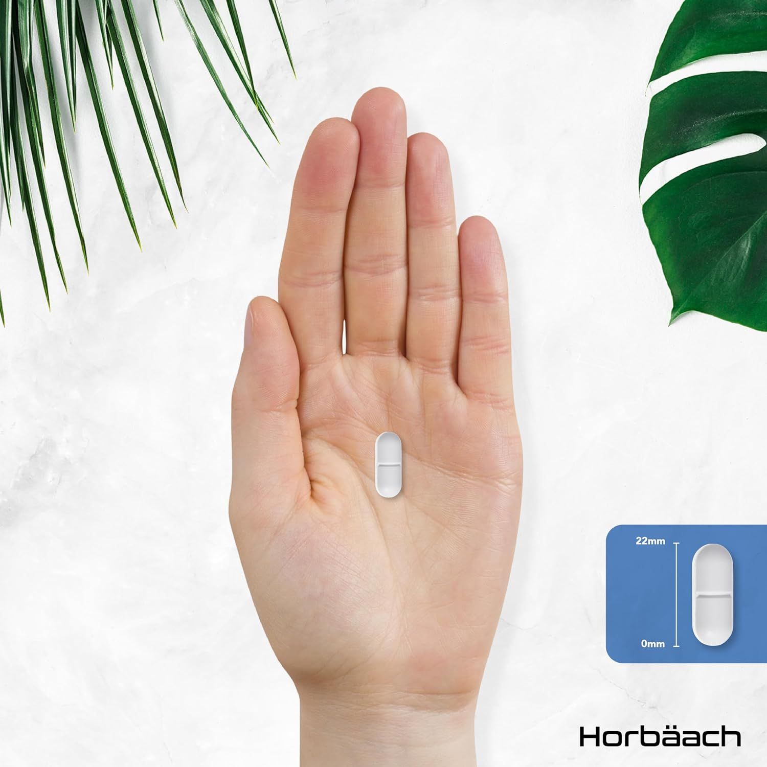 Horbaach L-Lysin 2000 mg Tabletten