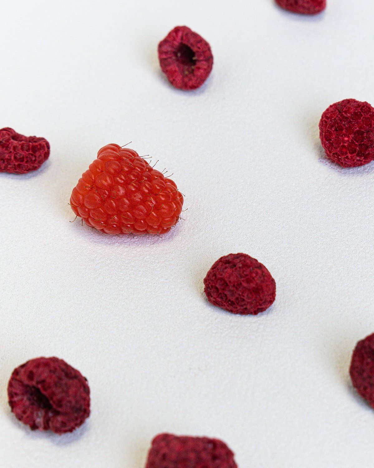 Gefriergetrocknete Himbeeren auf weißem Hintergrund. Einzelne Früchte sind verstreut, einige ganz, andere halbiert.
