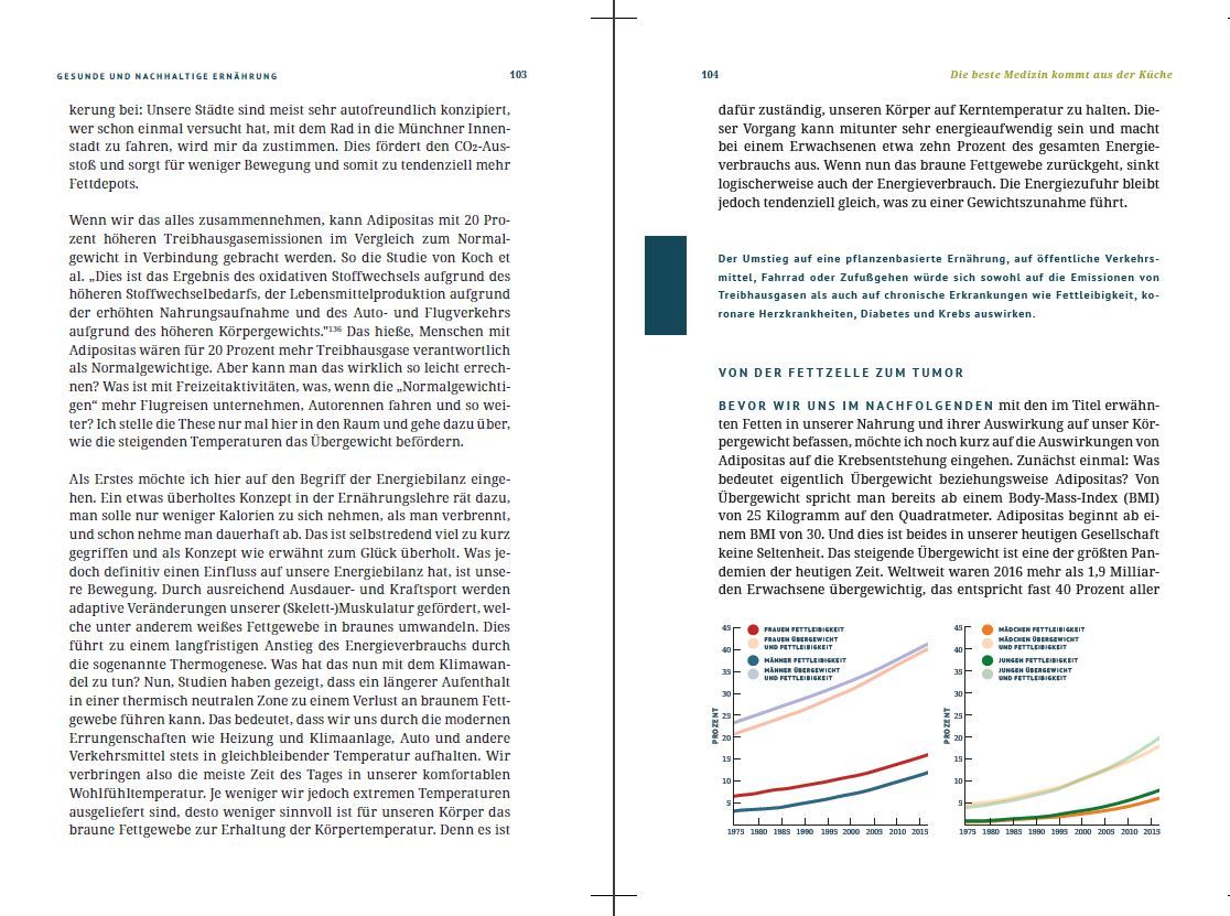 Buchseiten mit Text und Diagrammen. Diagramme zeigen Kurvenverläufe. Text in deutscher Sprache.