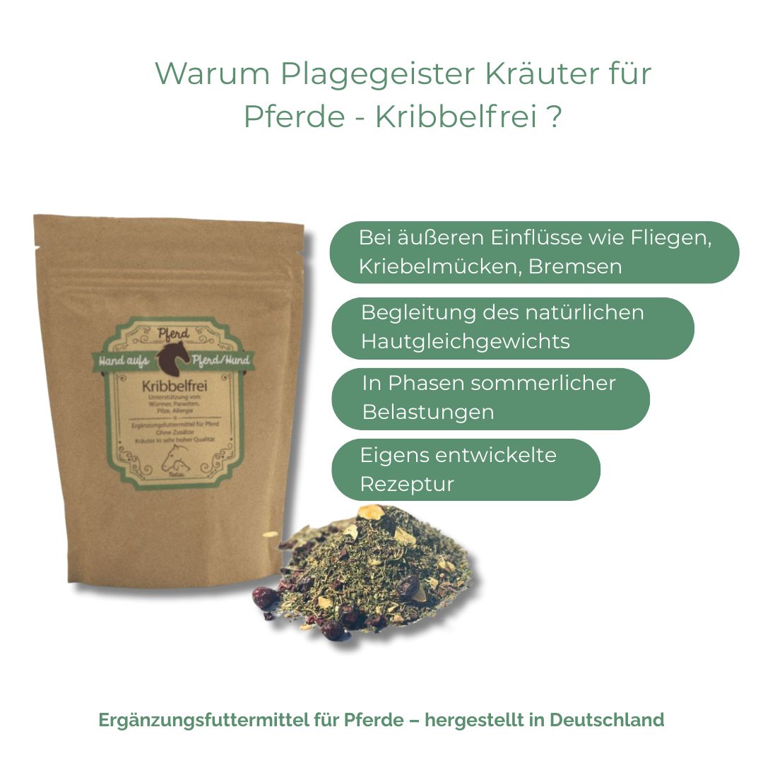 Braune Tüte mit Etikett, Kräutermischung daneben. Text: Warum Plagegeister Kräuter für Pferde - Kribbelfrei? Text in grünen Blasen.