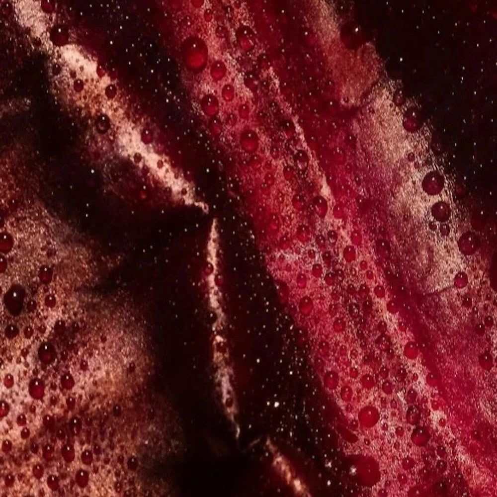 Zero Skin Reichhaltige Tagespflege mit Alteromonas Ferment, glättend und hydratisierend