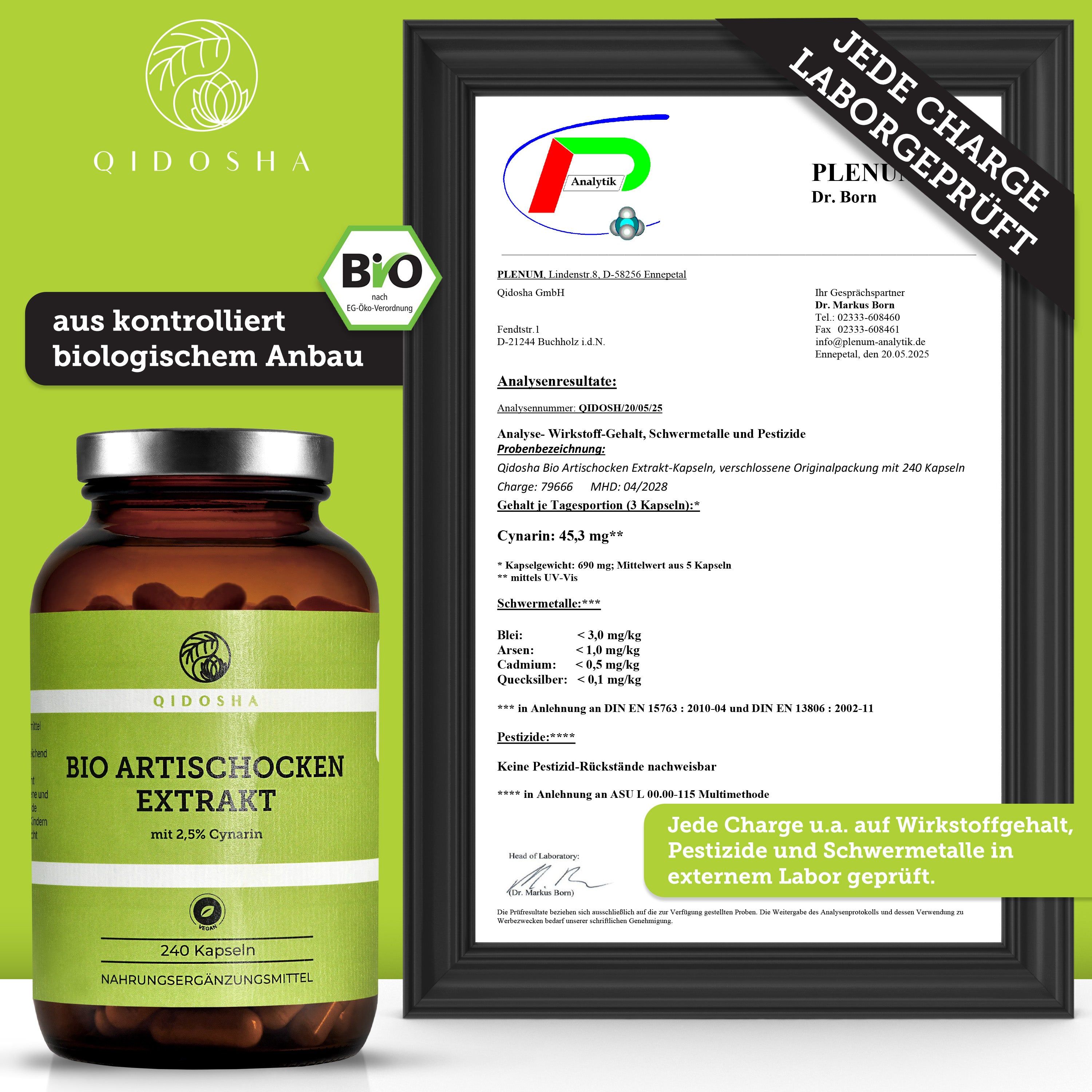 QIDOSHA Bio Artischockenextrakt (2,5% Cynarin)