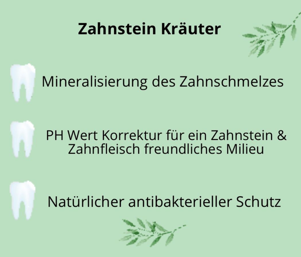 Hand aufs Pferd/Hund Zahn Kräuter