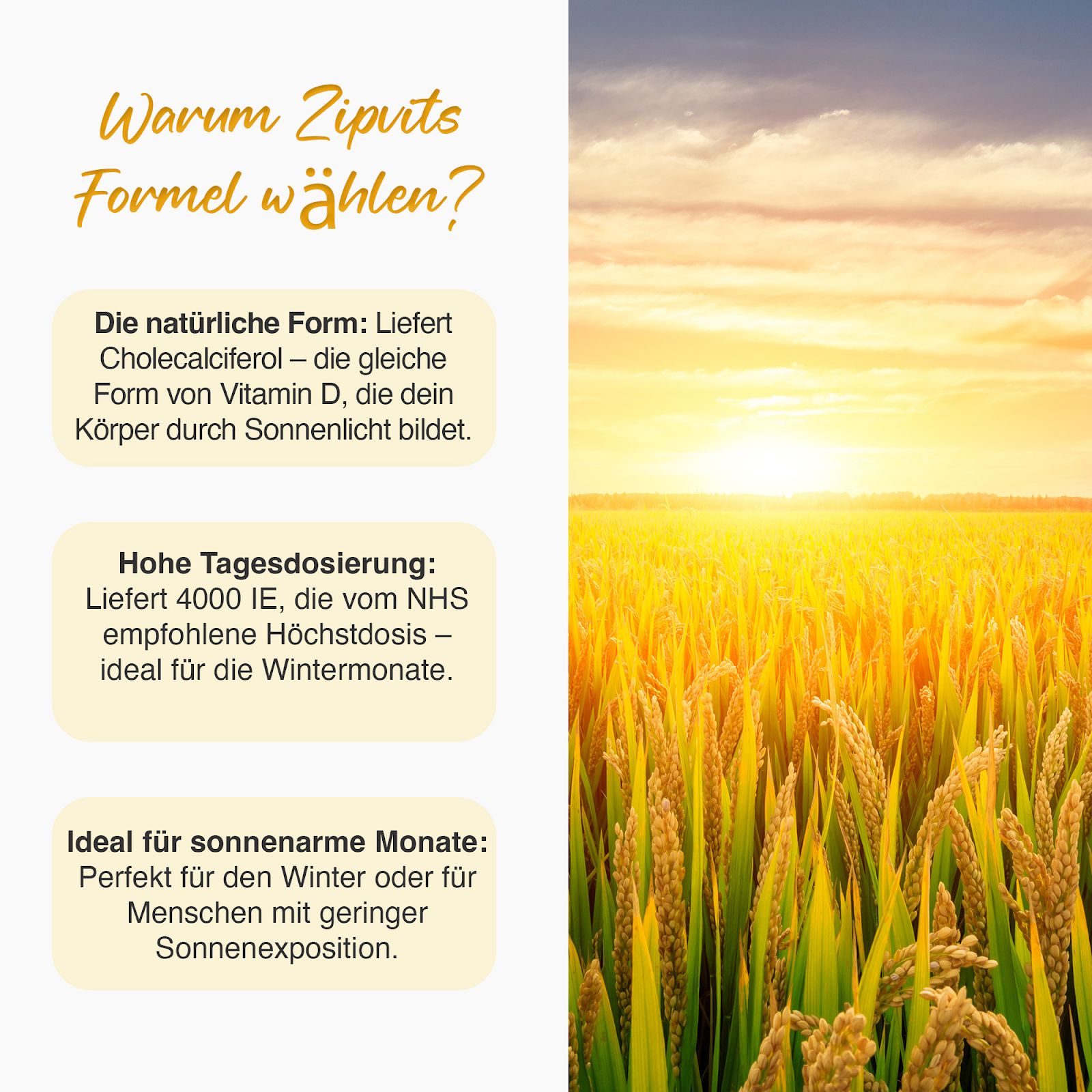 Zipvit Vitamin D3 High Strength 4000IE - für Immunsystem & Knochen