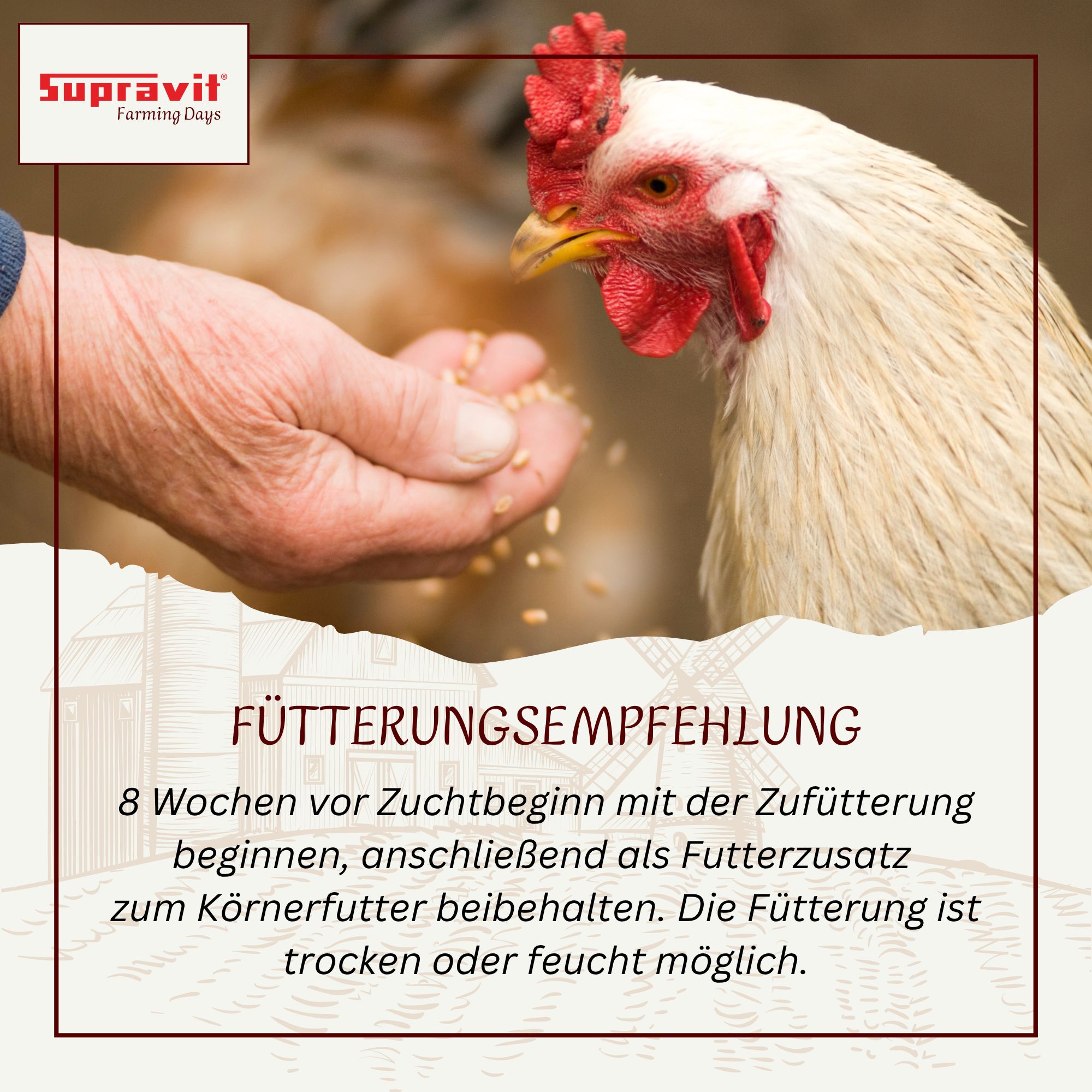 Supravit Aufzucht- & Eifutter für Geflügel