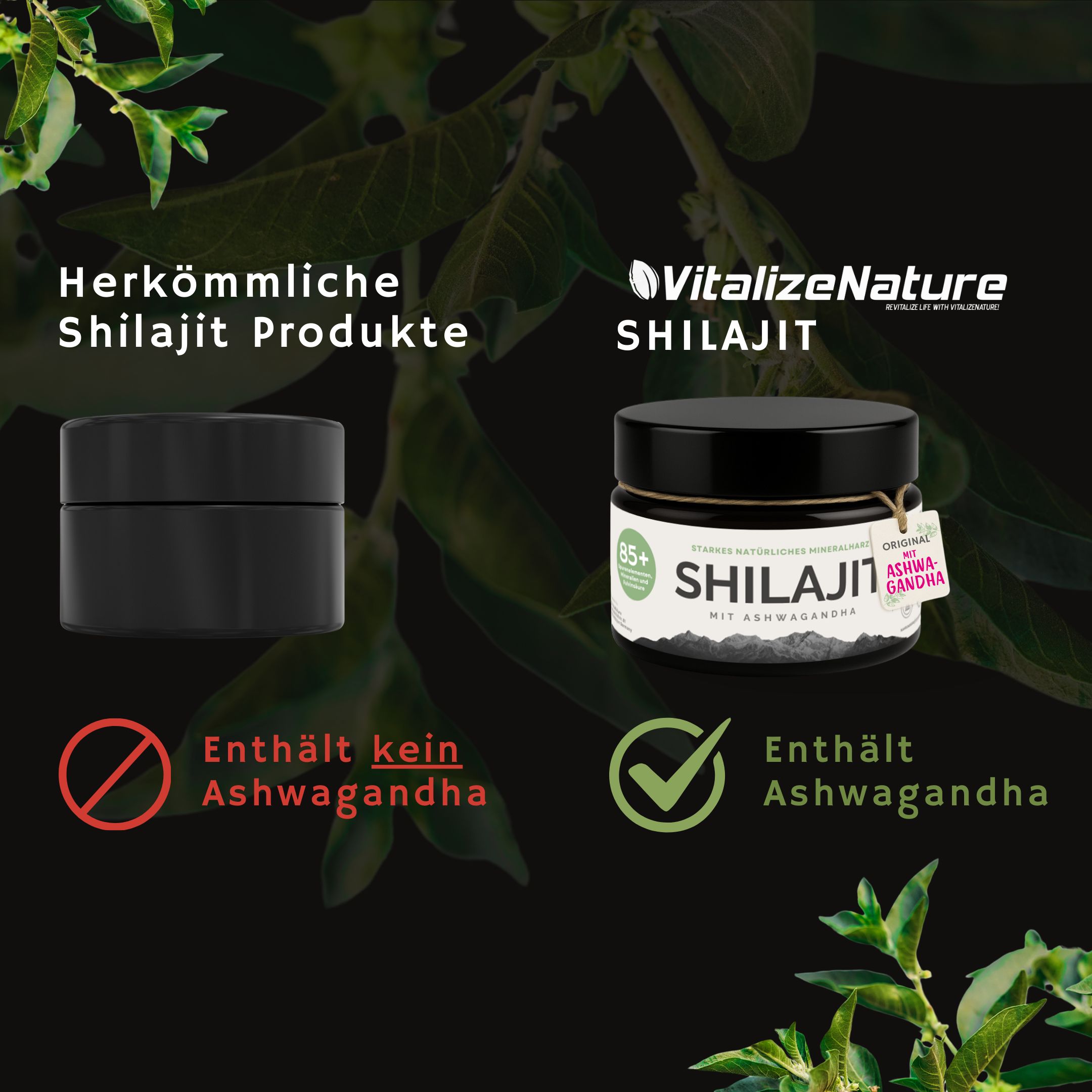 VitalizeNature Shilajit mit Ashwagandha