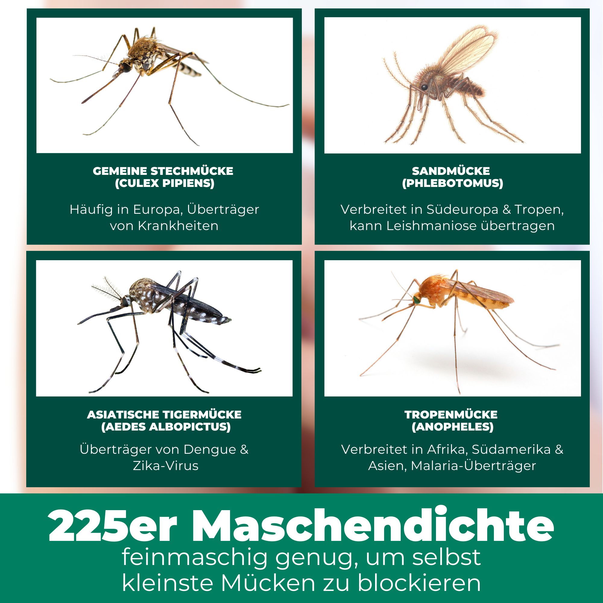 SILBERKRAFT Moskitonetz mit Klebehaken