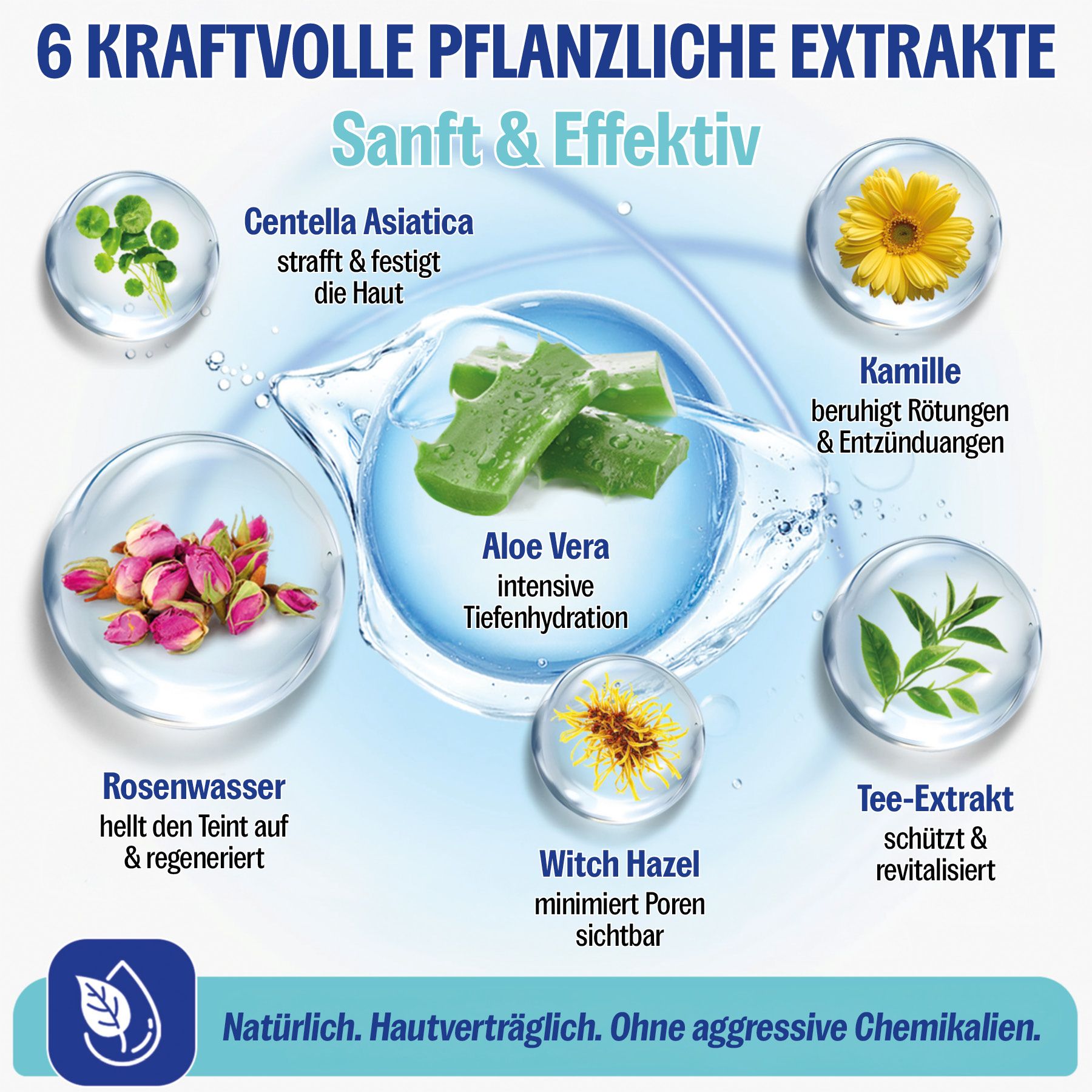 Grafik mit 6 pflanzlichen Extrakten: Aloe Vera, Kamille, Teextrakt, Hamamelis, Rosenwasser, Centella Asiatica.