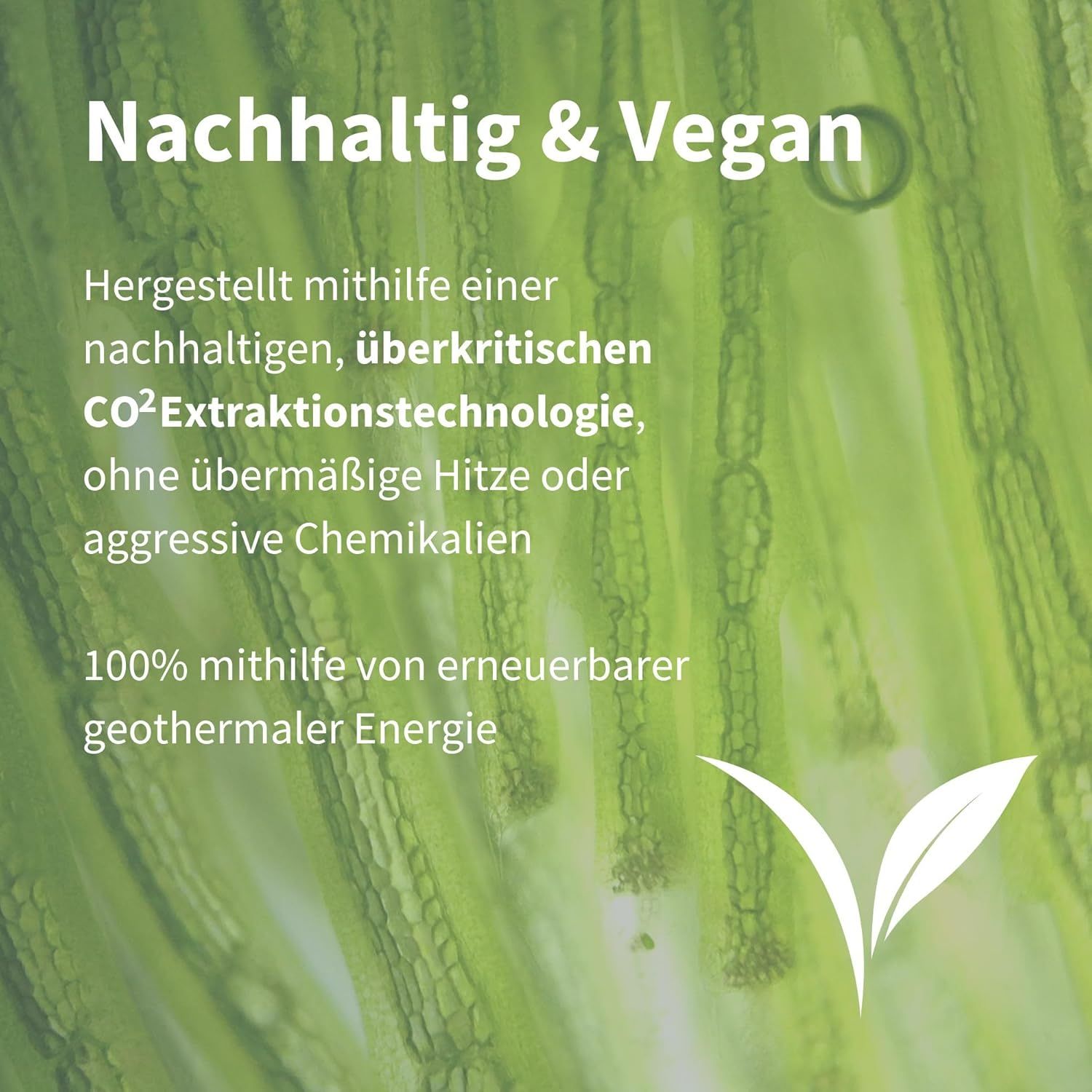Grüner Hintergrund mit Blatt. Text: Nachhaltig & Vegan. Hergestellt mit erneuerbarer geothermischer Energie.