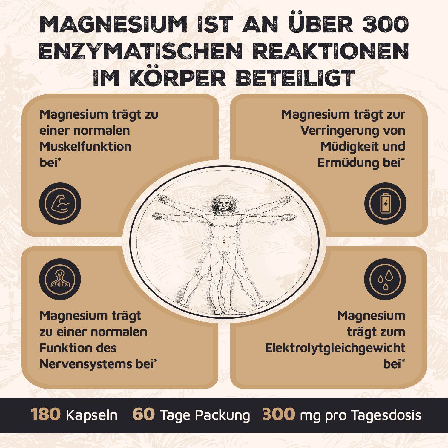 Infografik zu Magnesium. Enthält Informationen zu Muskel-, Nervenfunktion, Müdigkeit und Elektrolythaushalt. 180 Kapseln, 60 Tagespackung.