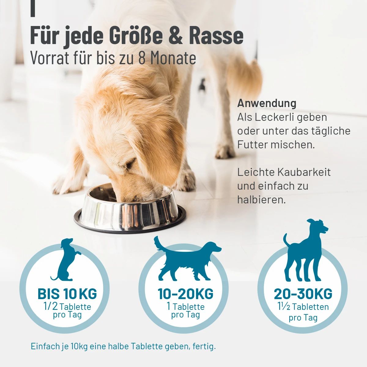 Hund isst aus Napf. Informationen zur Dosierung von Gelenktabletten Forte nach Gewicht: bis 10kg, 10-20kg, 20-30kg. Anwendung: als Leckerli oder im Futter.