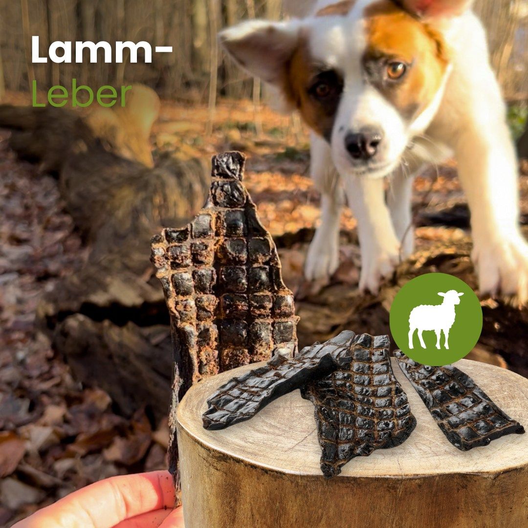 Getrocknete Lamm-Leberstücke, 100% Lamm, auch für empfindliche Hunde geeignet.