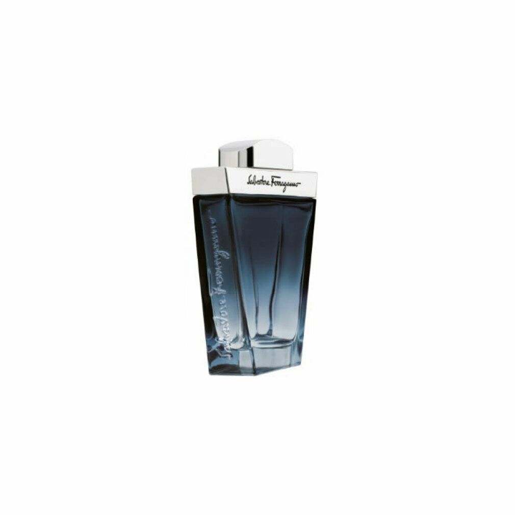 Salvatore Ferragamo Subtil Pour Homme Eau de Toilette  Spray