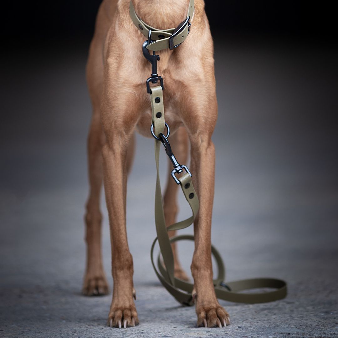 BioThane® Führleine NEO Olive - WOOFSTUFF