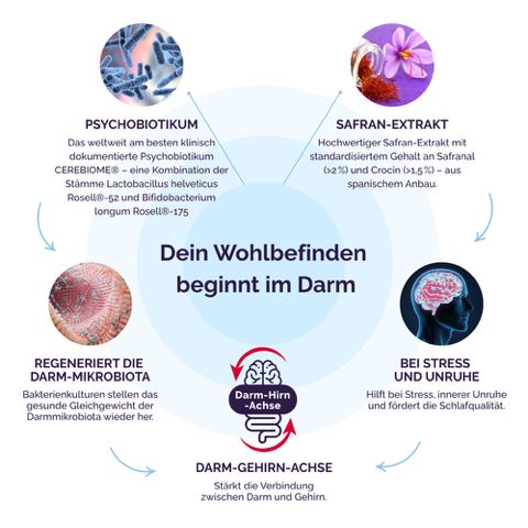 Almadea - BrainBiome