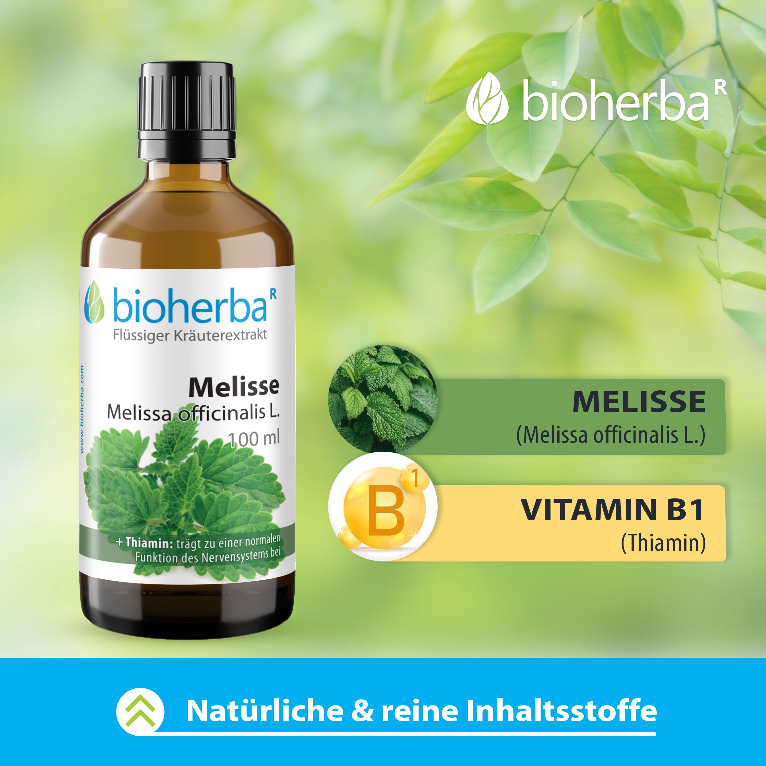 Bioherba Melisse Tinktur Flasche. Braune Glasflasche mit schwarzem Deckel. 100 ml. Zusätzliche Grafiken: Melisse, Vitamin B1.