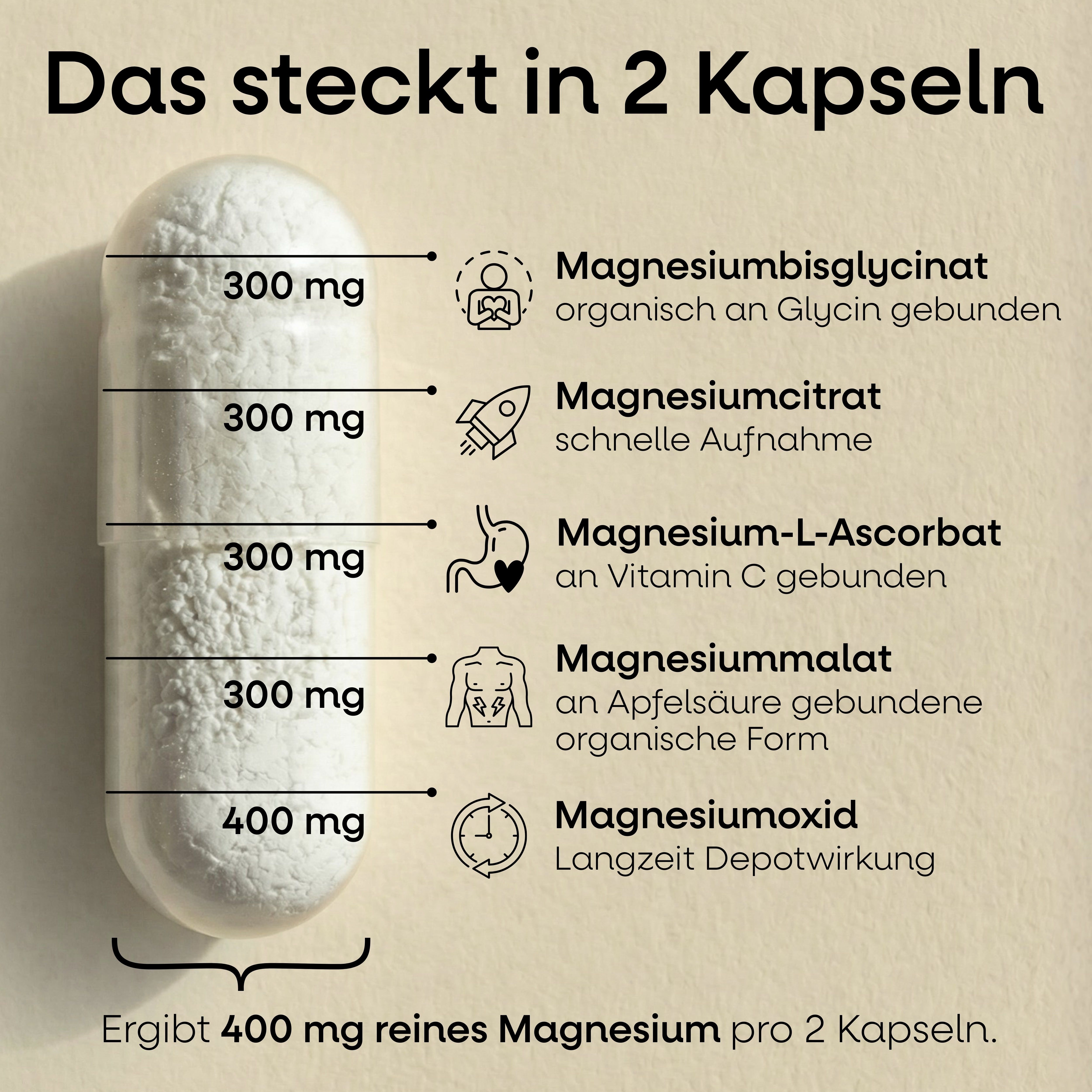 Nature's Way Magnesium Komplex Kapseln I 400 mg Magnesium hochdosiert