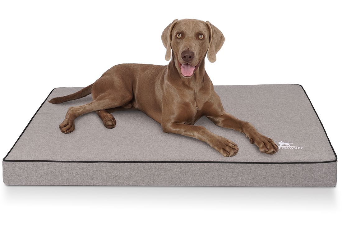 Hund liegt auf orthopädischer Hundematte. Matte rechteckig, grau, schwarzer Rand. Knuffelwuff-Logo. Hund braun, Blickrichtung Kamera.