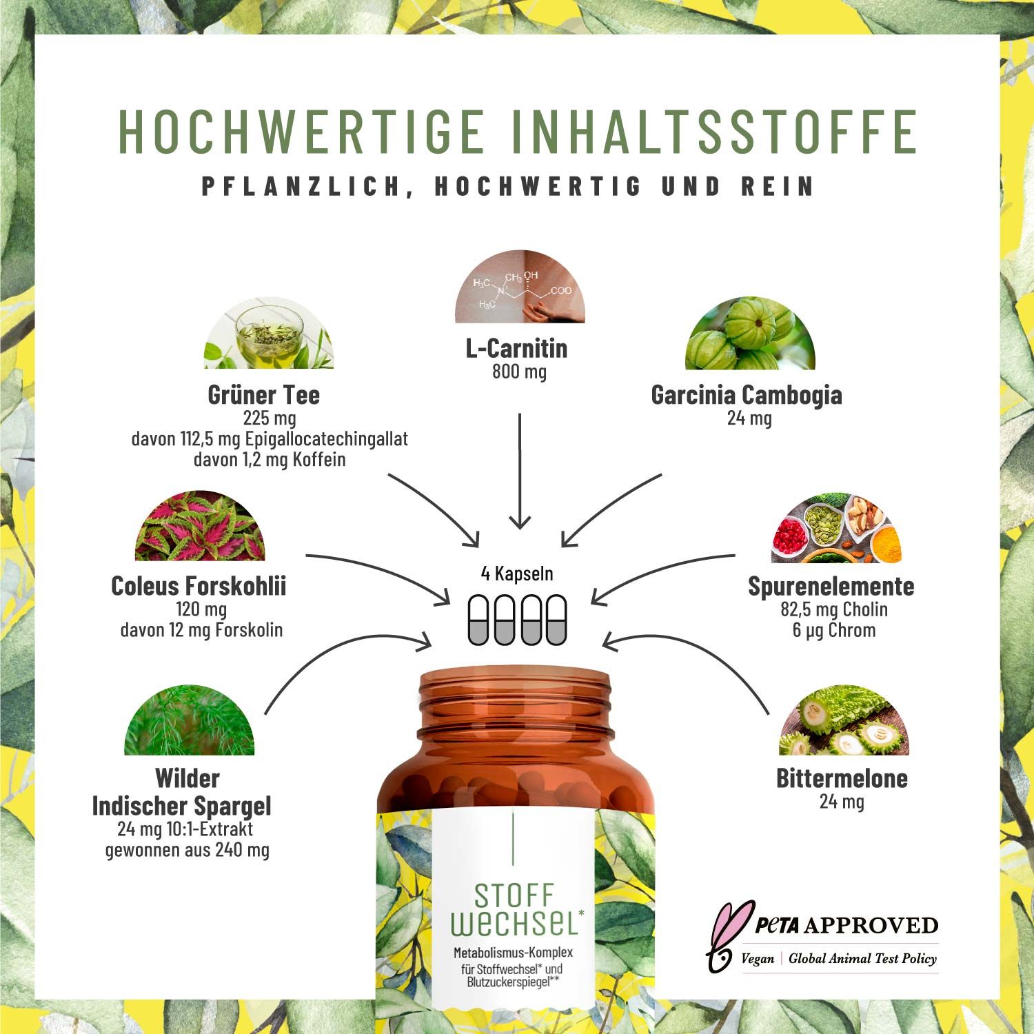 Stoffwechsel mit L-Carnitin und grünem Tee-Extrakt - NATURTREU®