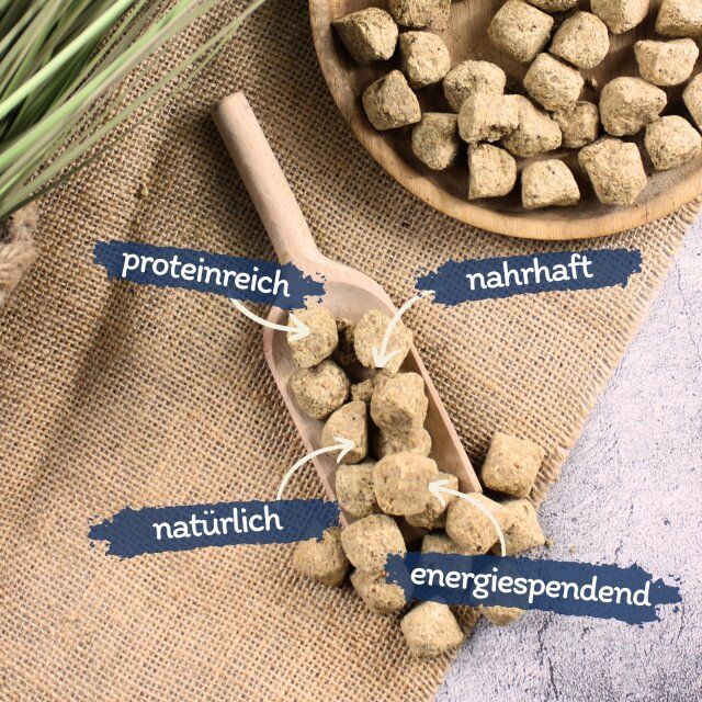 Gefriergetrocknete Würfel auf einem Holzlöffel. Beschriftung: proteinreich, nahrhaft, natürlich, energiespendend.