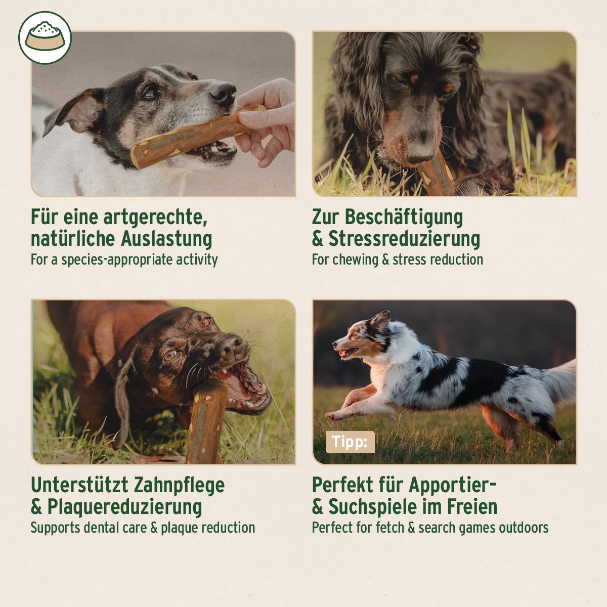 Vier Bilder zeigen Hunde mit Olivenholz-Kauspielzeug: artgerechte Aktivität, Stressreduzierung, Zahnpflege, Apportierspiele.