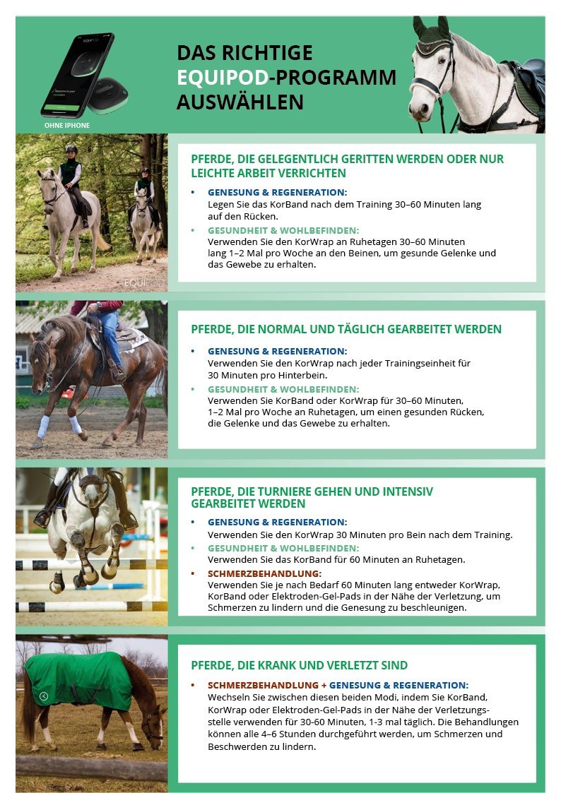 Infografik mit Text und Bildern. Titel: DAS RICHTIGE EQUIPOD-PROGRAMM AUSWÄHLEN. Pferde und Anwendungshinweise.