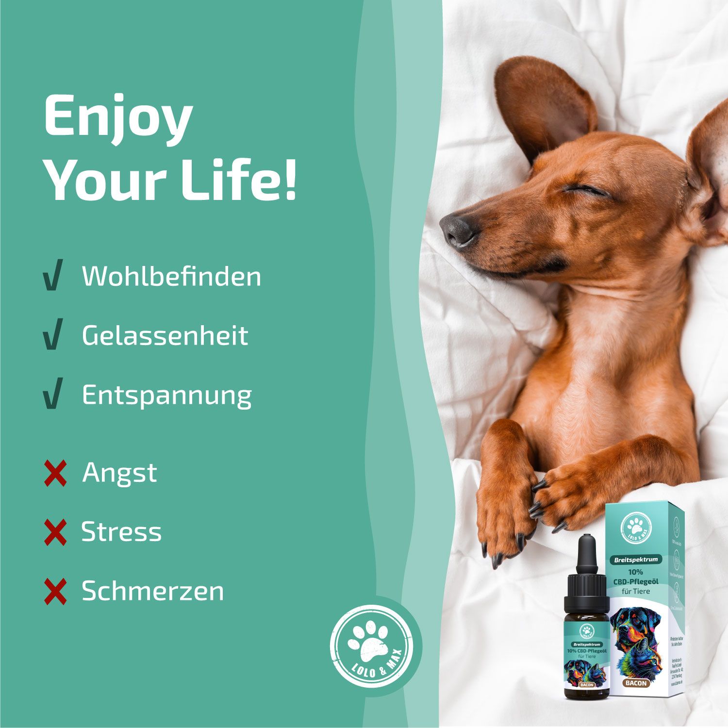 Lolo & Max - 10% CBD-Öl für Hunde Katzen Bacon 10 ml