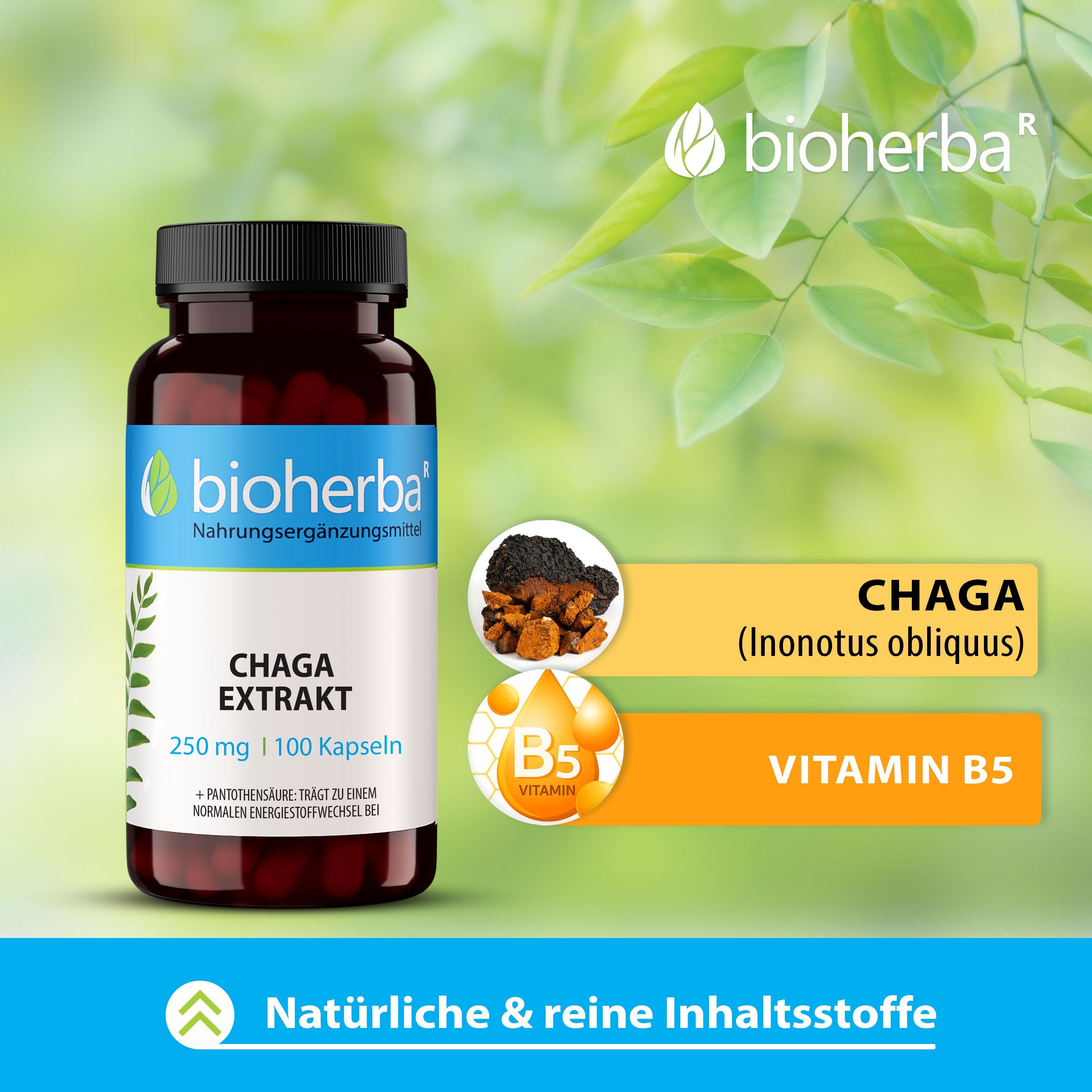 Bioherba Chaga Extrakt Kapseln